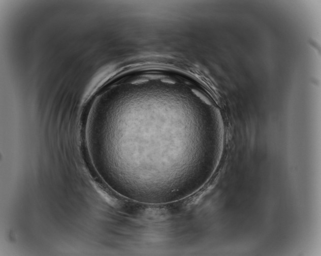 X0000096440101200801311437