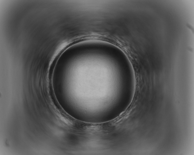 X0000096440102200801311437