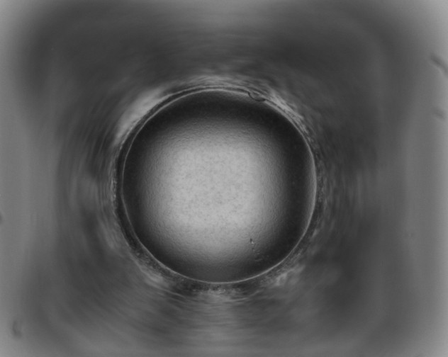 X0000096440103200801311437