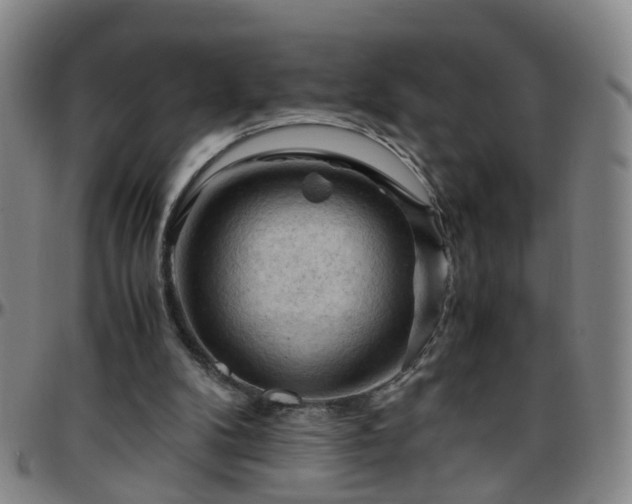 X0000096440104200801311437