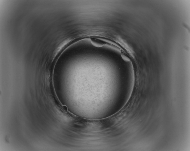 X0000096440107200801311437