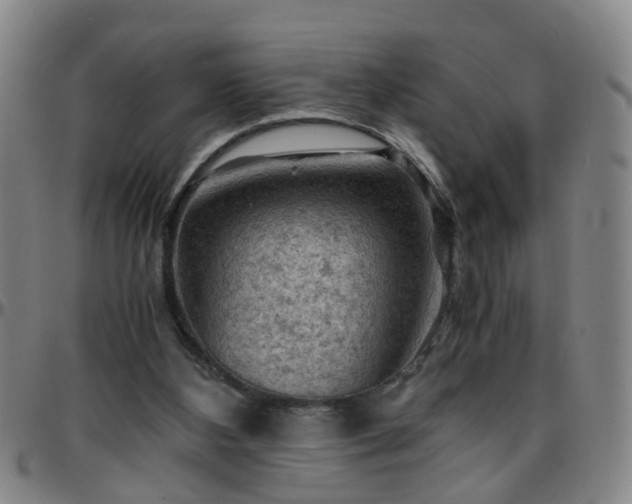 X0000096440108200801311437