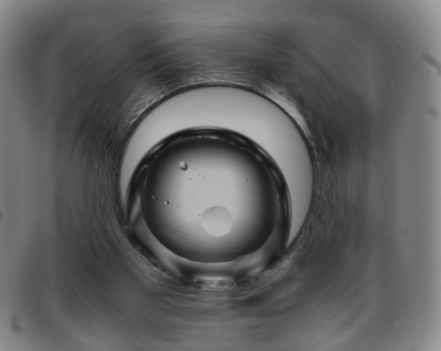 X0000096440109200801311437