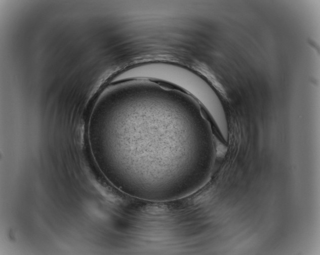 X0000096440110200801311437