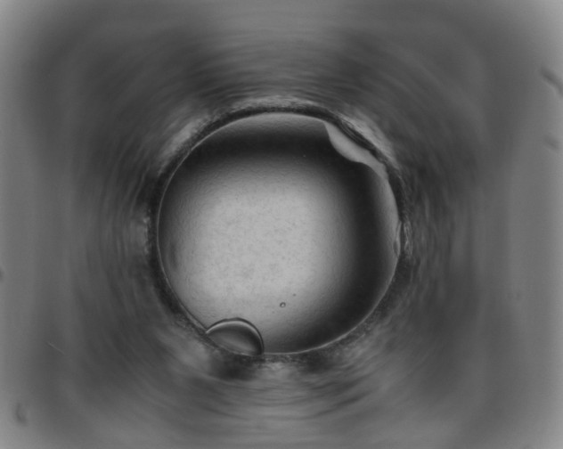 X0000096440111200801311437