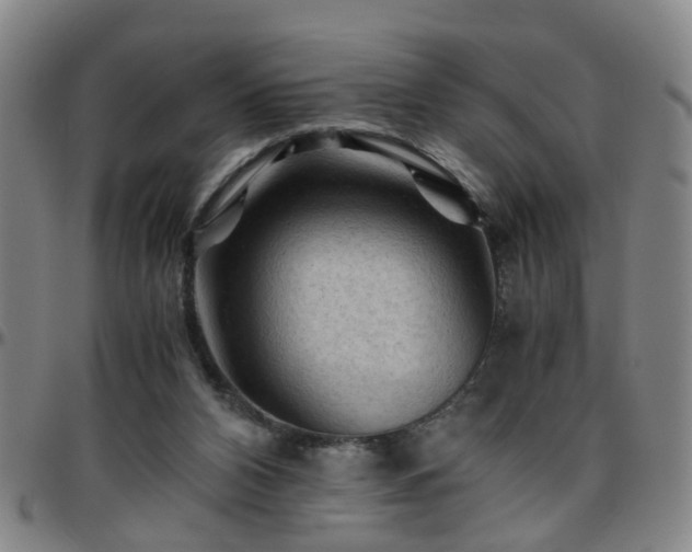 X0000096440112200801311437