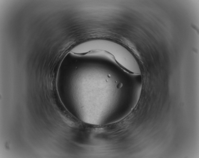 X0000096440114200801311437