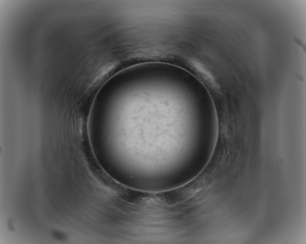 X0000096440115200801311437