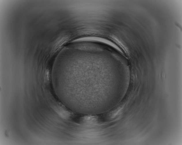 X0000096440117200801311437