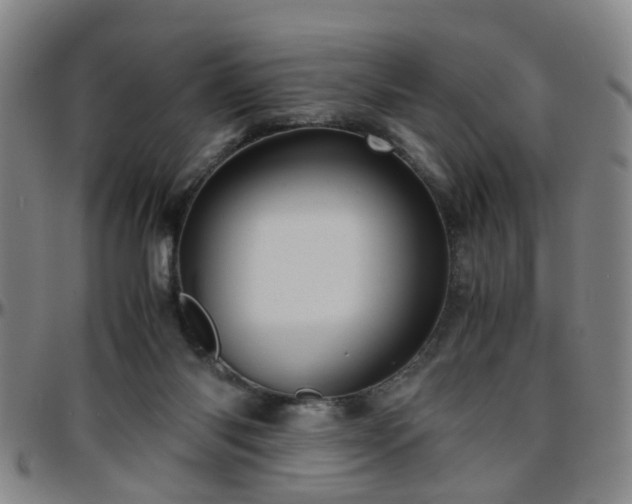 X0000096440118200801311437