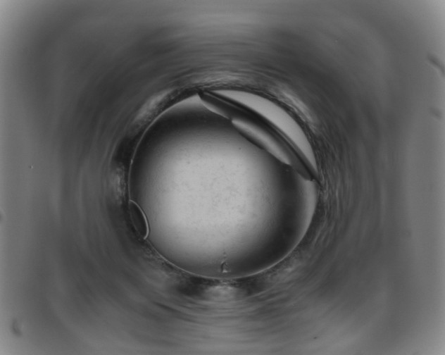 X0000096440119200801311437