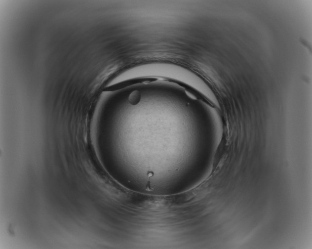 X0000096440120200801311437