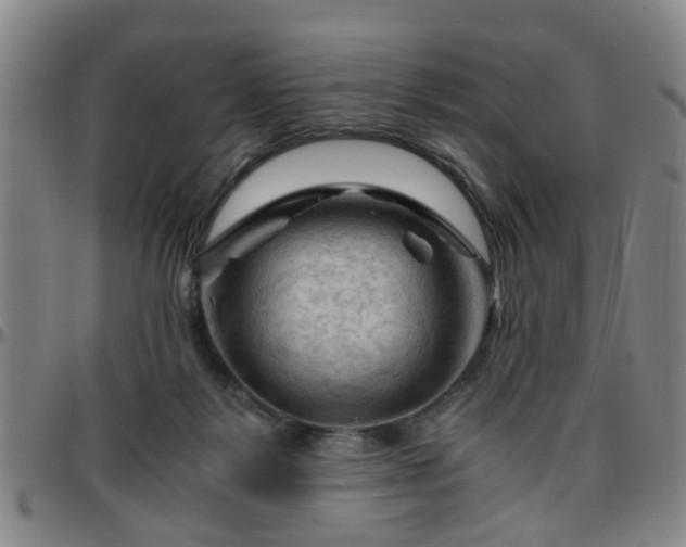 X0000096440123200801311437