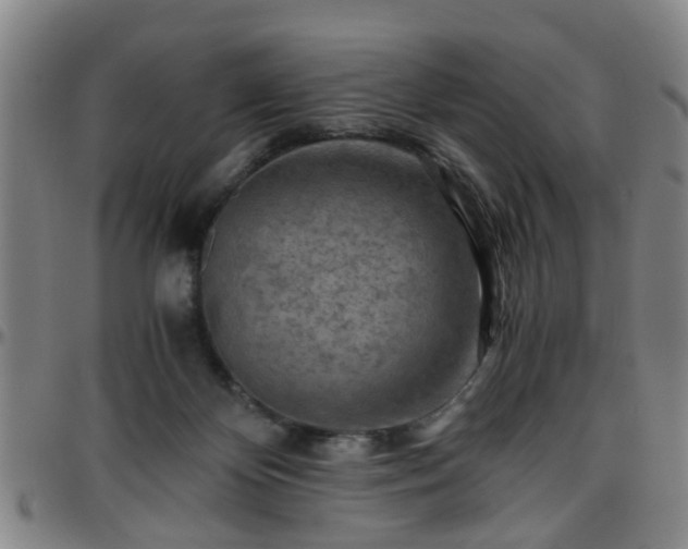 X0000096440124200801311437