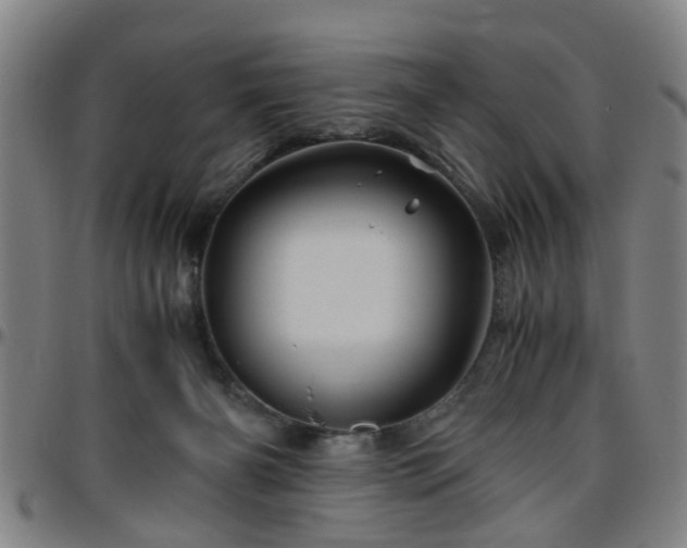 X0000096440126200801311437