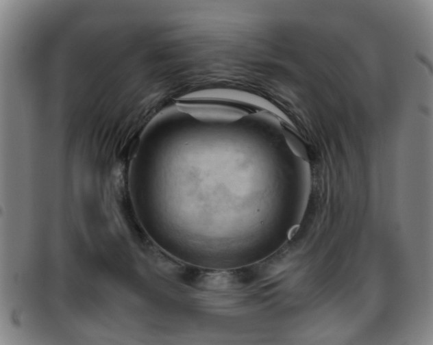 X0000096440127200801311437