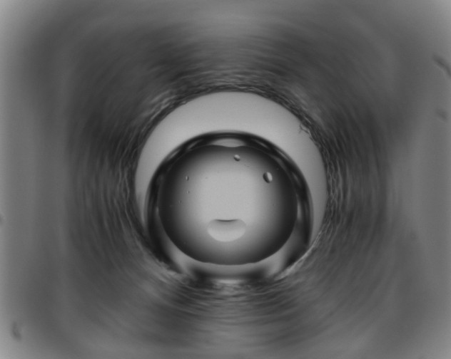 X0000096440128200801311437