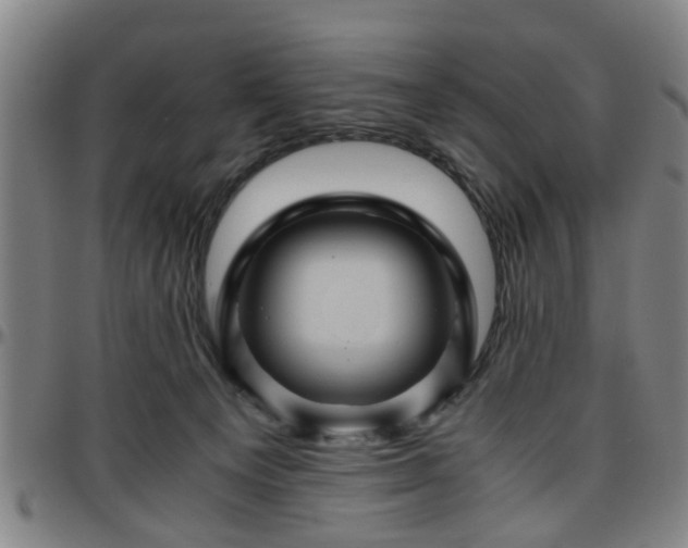 X0000096440129200801311437