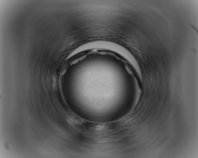 X0000096440130200801311437