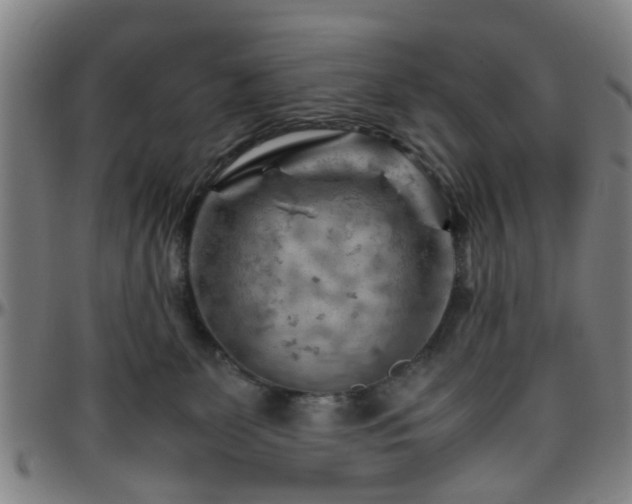 X0000096440131200801311437