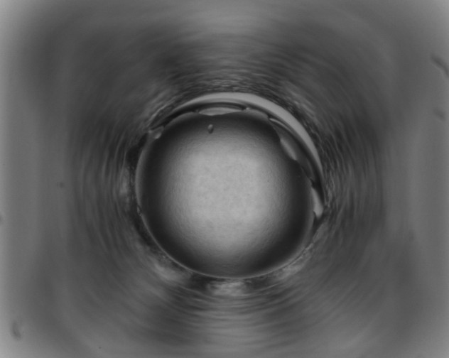 X0000096440132200801311437