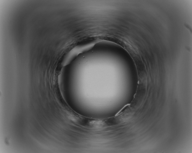 X0000096440133200801311437