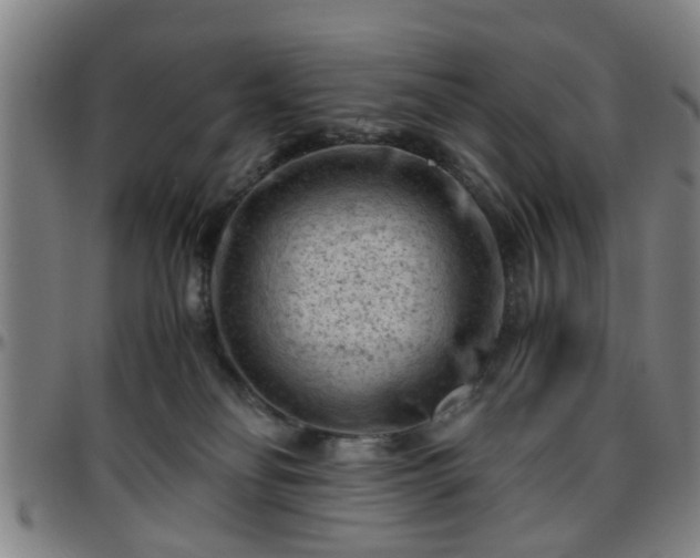 X0000096440134200801311437