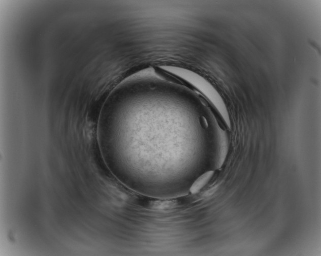 X0000096440135200801311437