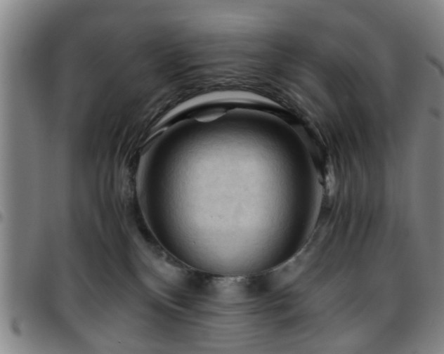 X0000096440136200801311437