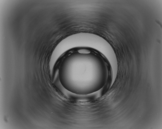 X0000096440137200801311437