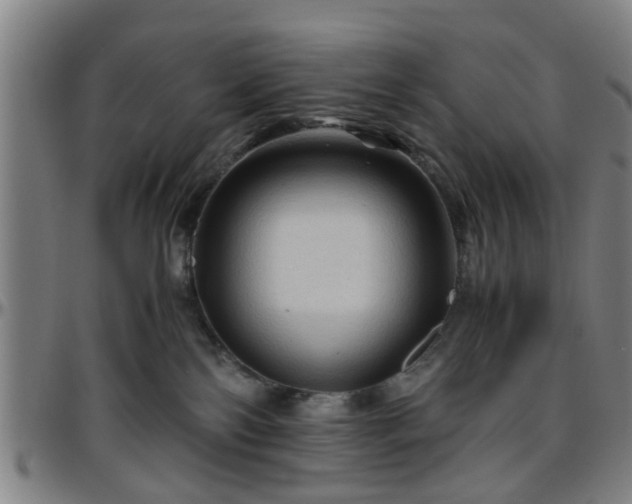 X0000096440138200801311437