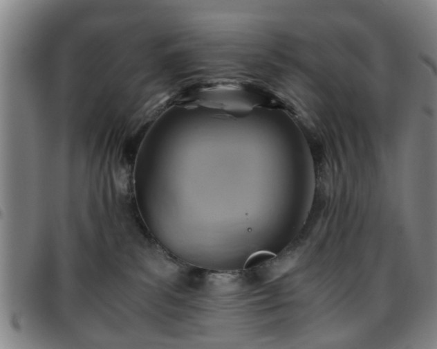 X0000096440139200801311437