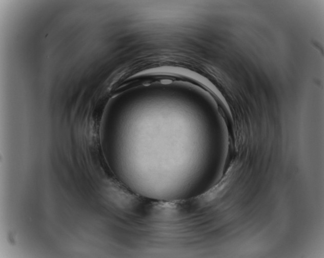 X0000096440140200801311437