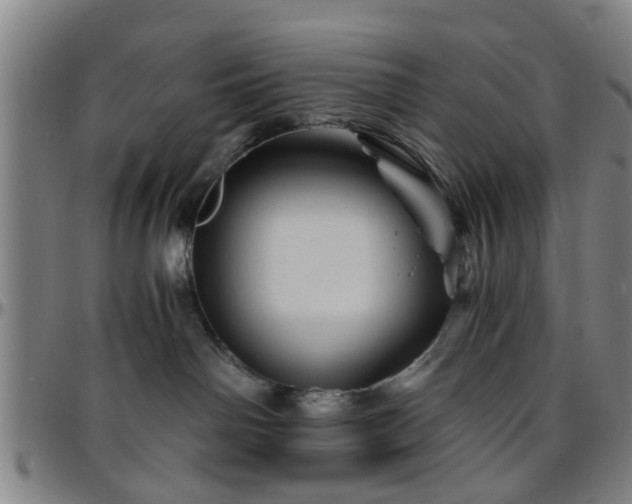 X0000096440142200801311437