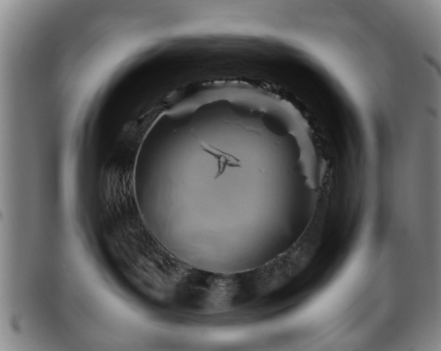 X0000096440143200801311437