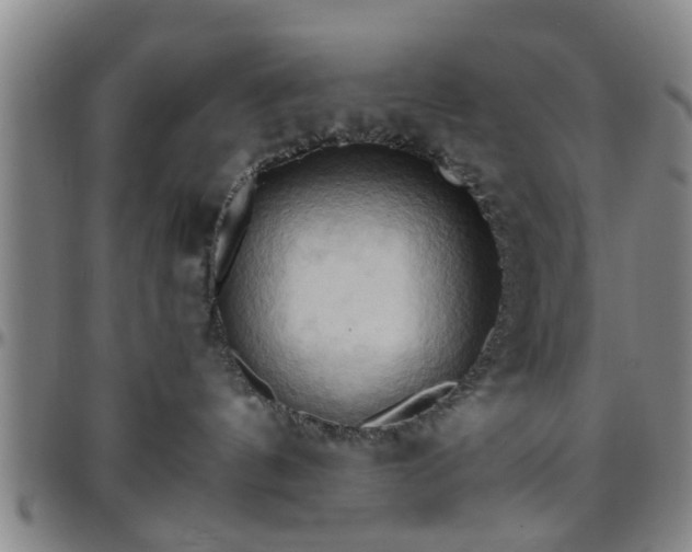 X0000096440144200801311437