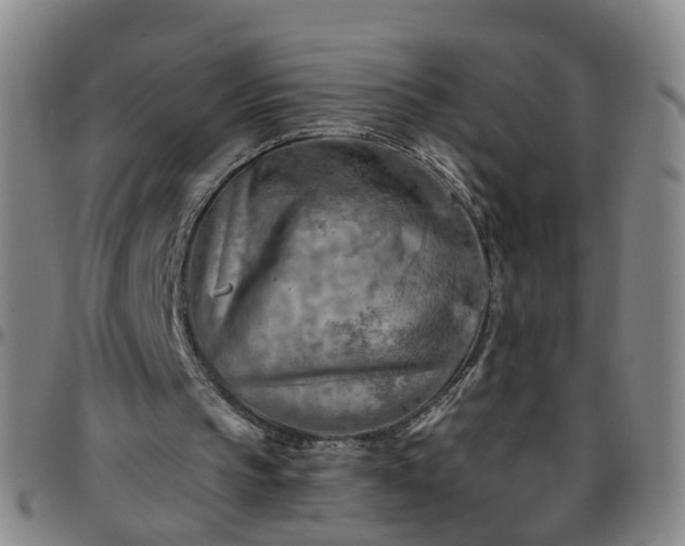 X0000096440145200801311436