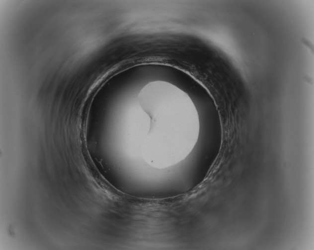 X0000096440146200801311436