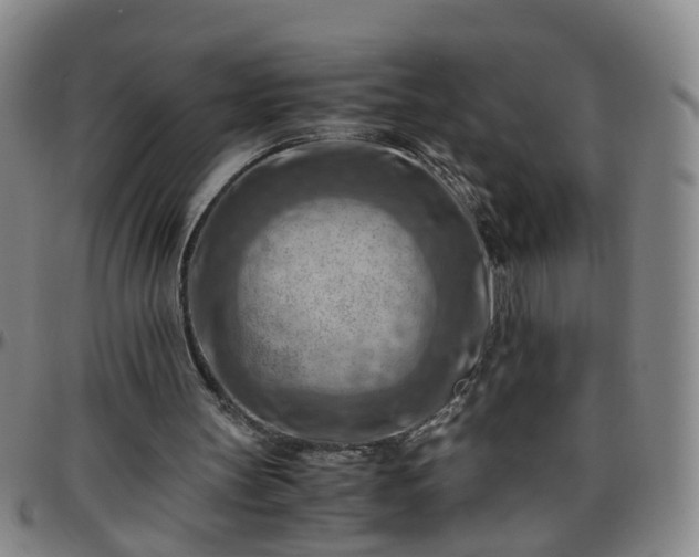 X0000096440147200801311436