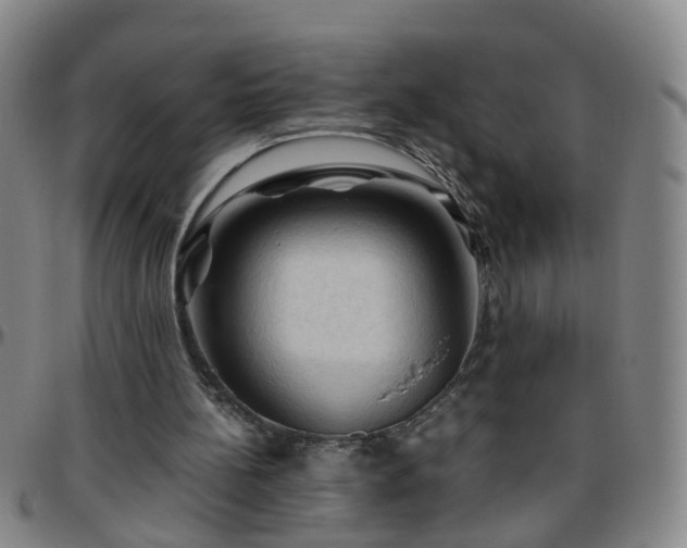 X0000096440148200801311436