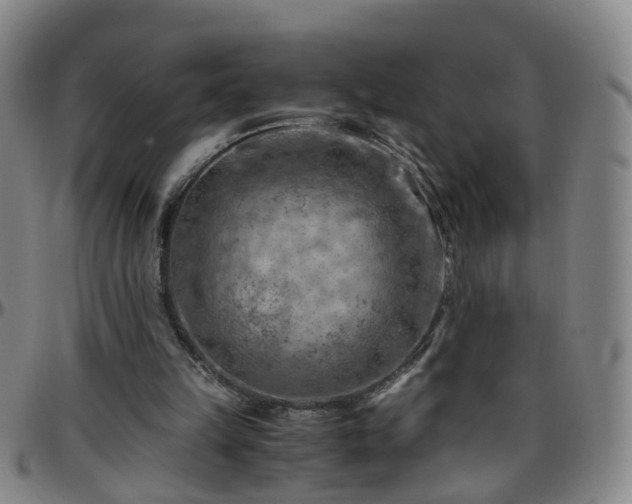 X0000096440149200801311436