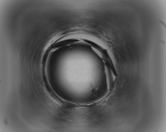 X0000096440150200801311436