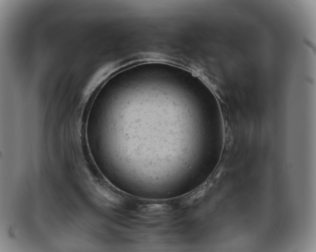 X0000096440151200801311436