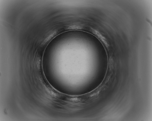 X0000096440153200801311436