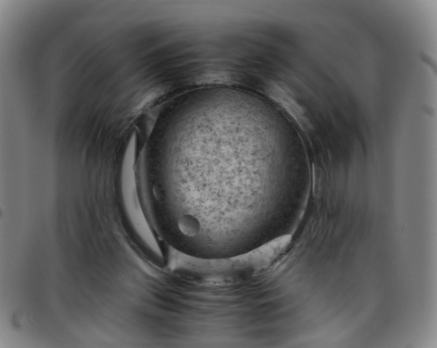 X0000096440157200801311436