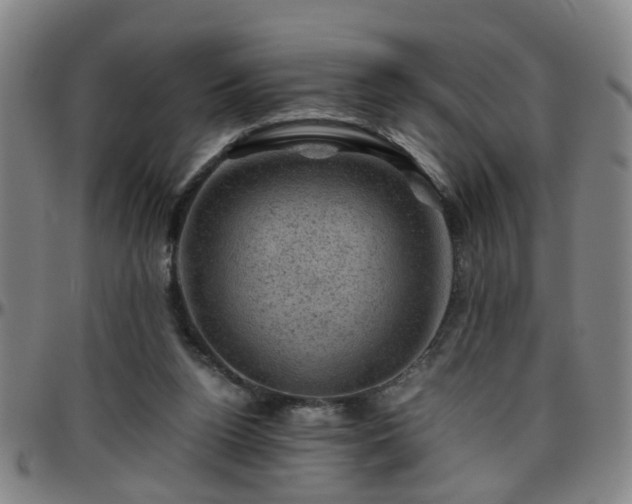 X0000096440160200801311436