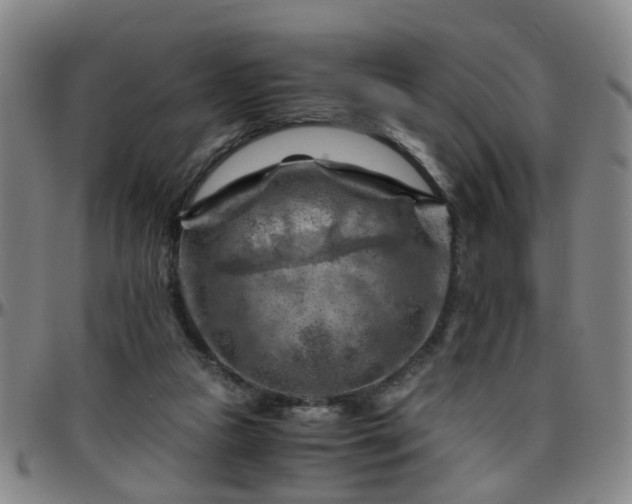 X0000096440161200801311436