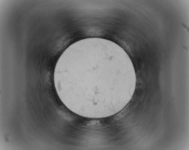 X0000096440162200801311436