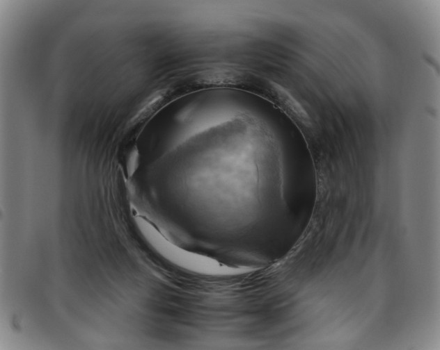 X0000096440163200801311436