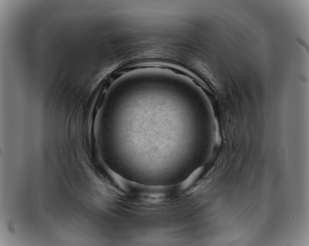 X0000096440164200801311436